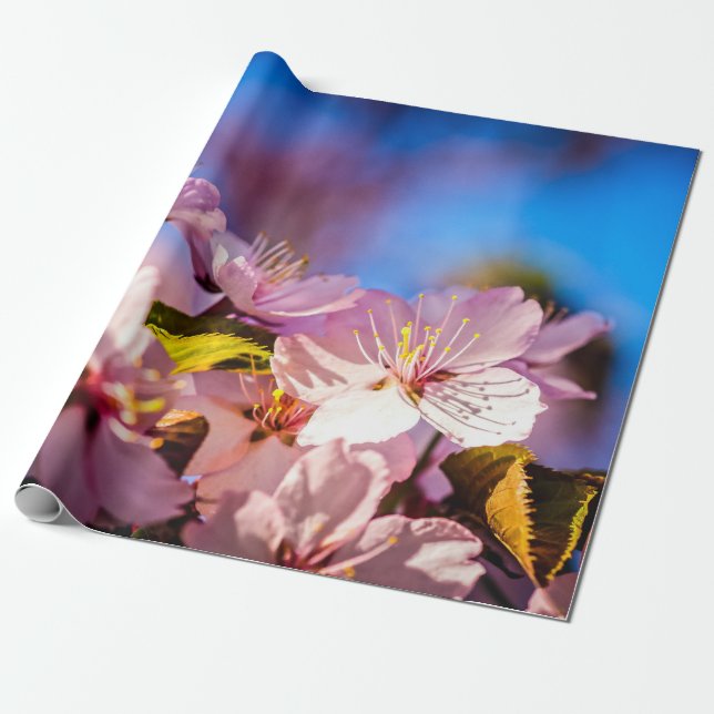Bouquet Of Sakura Flowers Wrapping Paper (Unrolled)