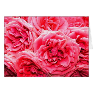 Bouquet Rose anglais