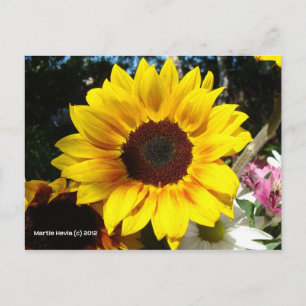 Bouquet Sunflower & Friends - Carte postale