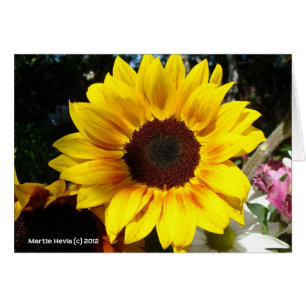 Bouquet Tournesol & Amis