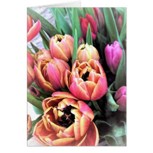 Bouquet Tulips