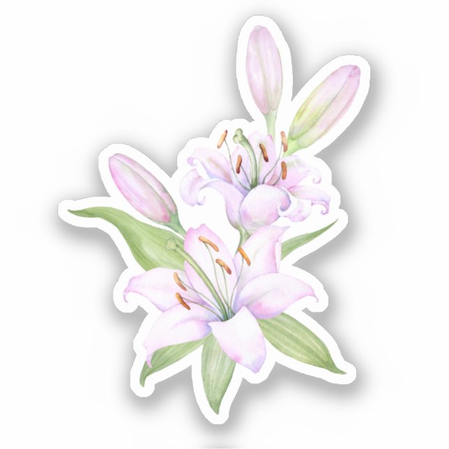 Bouquet white lilies, watercolor flower  (Front)