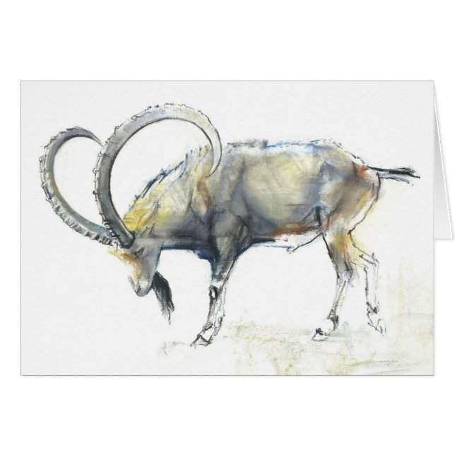 Bouquetin 2008 de Nubian (Devant horizontal)