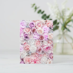 Bouquets of Roses 2 Holiday Postcard