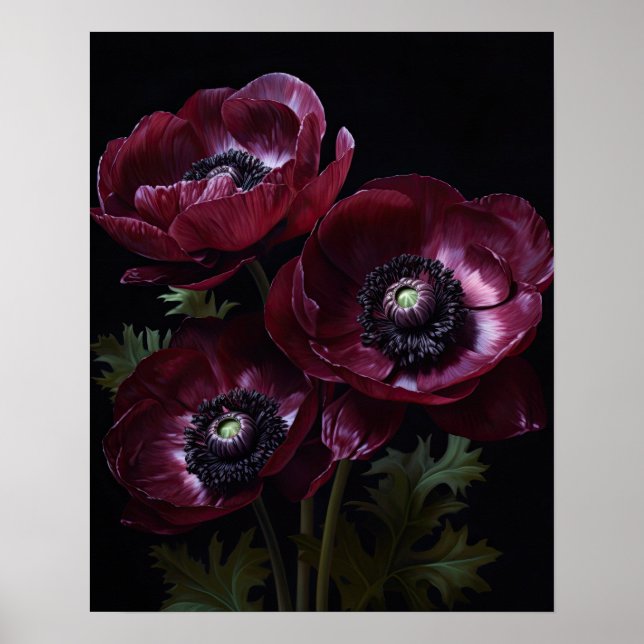 Bourgogne Anémone Fleurs Art Imprimer Poster (Devant)