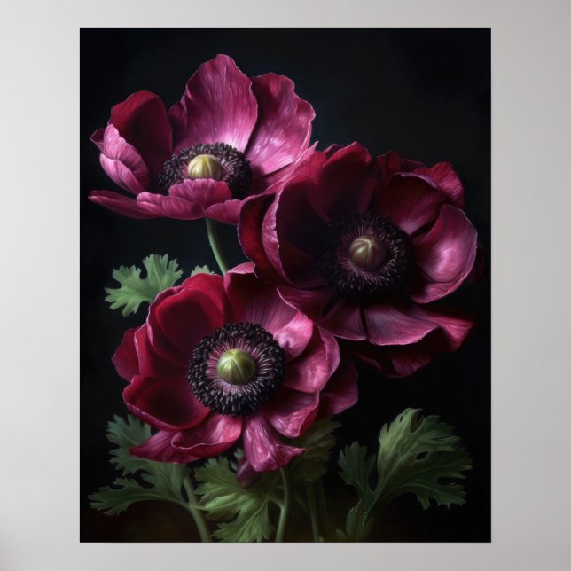Bourgogne Anémone Fleurs Art Imprimer Poster (Devant)