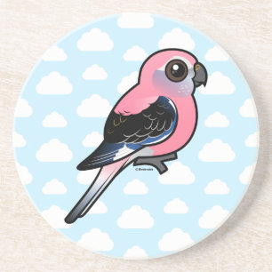 Bourke's Parakeet Coaster