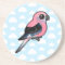 Bourke's Parakeet