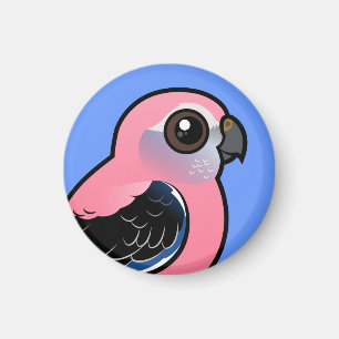 Bourke&#x27;s Parakeet Magnet