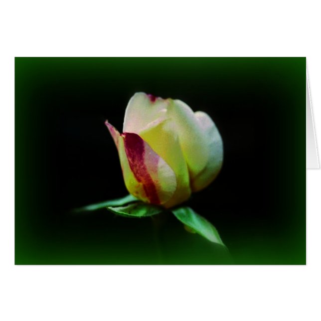 "Bourse Sur Le Chemin" (Devant Horizontal)