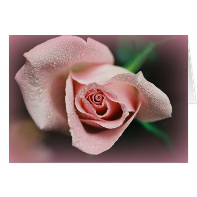 "Bourse Sur Le Chemin" (Devant Horizontal)