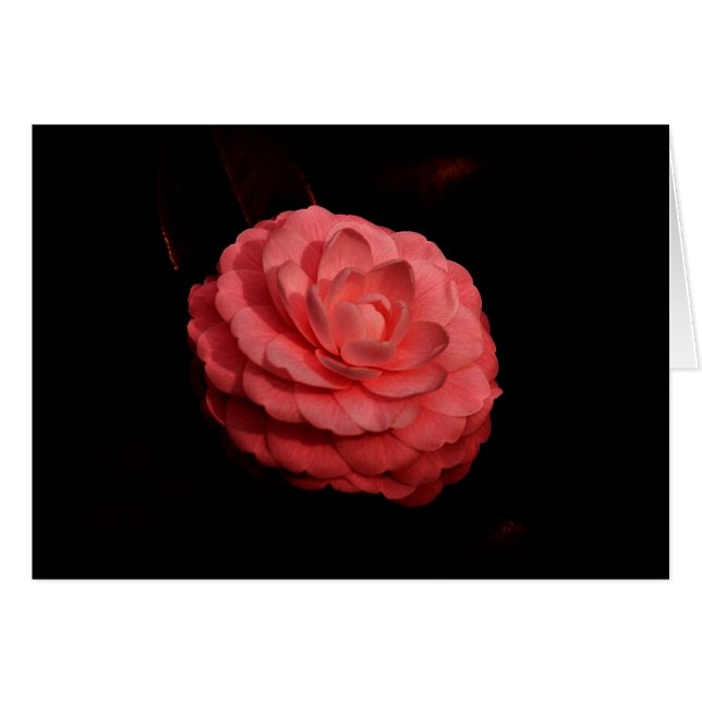 "Bourse Sur Le Chemin" (Devant Horizontal)