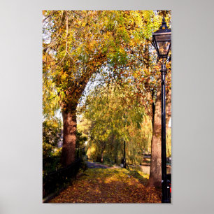 Bourton on the Water Autumn Trees Cotswolds UK Poster