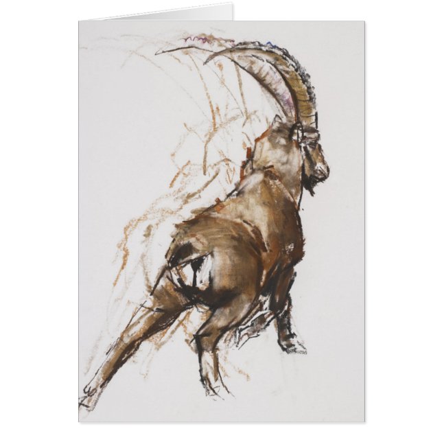 Bout droit de jambe (Devant)