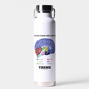 Bouteille D'eau Activer votre matière grise Penser Cerveau anatomi