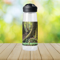 Baignade dans les forêts profondes