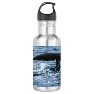 Bouteille D'eau Baleine de Sperm