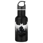 Batman perché sur un pilier