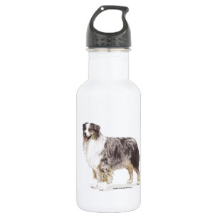 Bouteille D'eau Berger australien