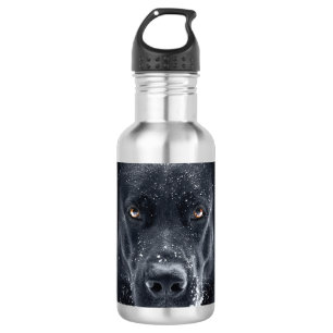 Bouteille D'eau Black German Shepherd