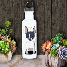 Blanc noir Chihuahua Angel