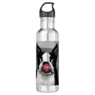 Bouteille D'eau Boston Terrier