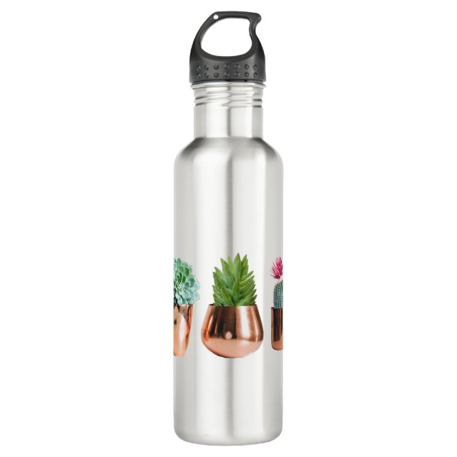 Bouteille D'eau Cactus et succulents dans des pots d'or Roses (Devant)