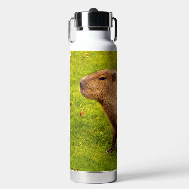 Bouteille D'eau Capybara (Salle de sport)