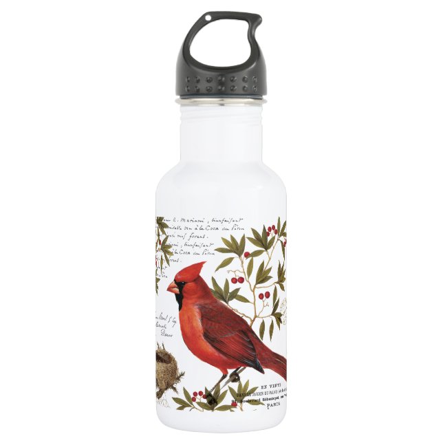Bouteille D'eau cardinal d'hiver vintage moderne (Devant)
