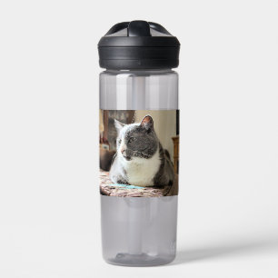 Bouteille D'eau Cat