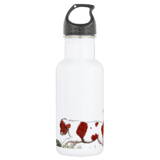 Bouteille D'eau Cavalier King Charles Spaniel