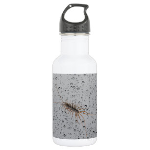 BOUTEILLE D'EAU CENTIPÈDE DE MAISON