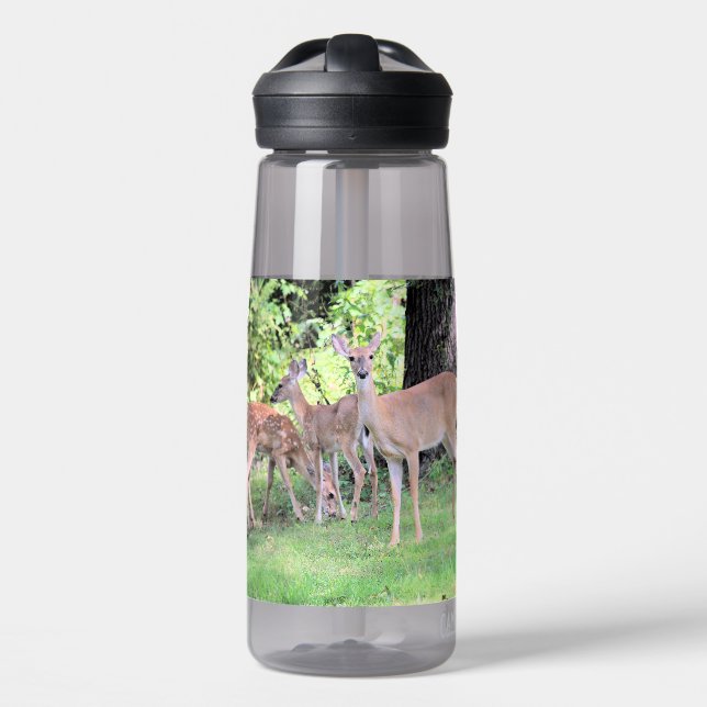 Bouteille D'eau Cerf (Avant)