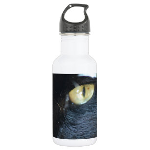 Bouteille D'eau Chat vous observant