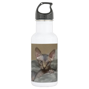 Bouteille D'eau Chaton de Spynx