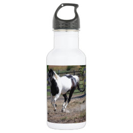 Bouteille D'eau Cheval Pinto Paint