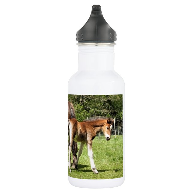 BOUTEILLE D'EAU CHEVAUX (Droite)
