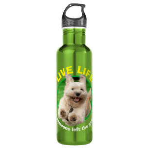 Bouteille D'eau Chien Courant Dans Le Jardin