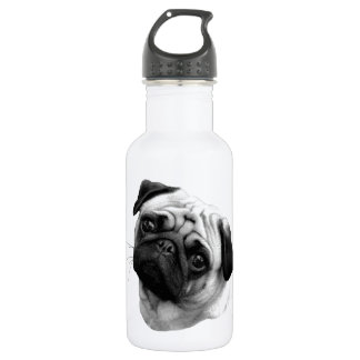 Bouteille D'eau Chien de carlin