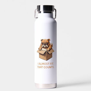 Bouteille D'eau Chien essayant de s'adapter dans la boîte - J'ai f