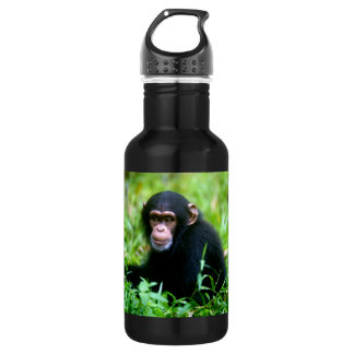 Bouteille D'eau Chimpanzé de bébé dans l'herbe