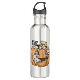 Bouteille D'eau Citrouille des chats d'Halloween