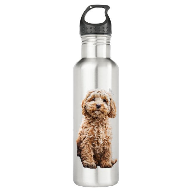 Bouteille D'eau Cockapo Cavoodle Labradoodle mignon Chien Chien-Ch (Devant)