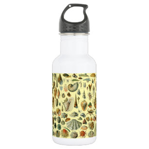 Bouteille D'eau Coquillages de coquillages Mollusk Clam Élégant Ar
