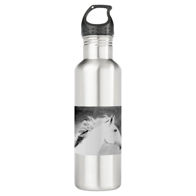Bouteille D'eau Crinière de LIN26BW dans le Wind.tif (Devant)