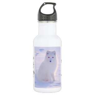 Bouteille D'eau Cute Arctic Fox Winter Outdoor Scène extérieure Co