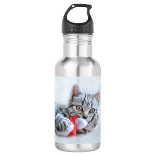 Bouteille D'eau Cute Grey Tabby Chat Noël Casquette Noël Noël Noël