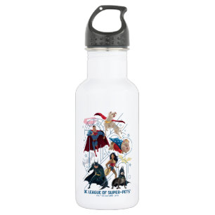 Bouteille D'eau DC Trinity Heroes & Super-Pets