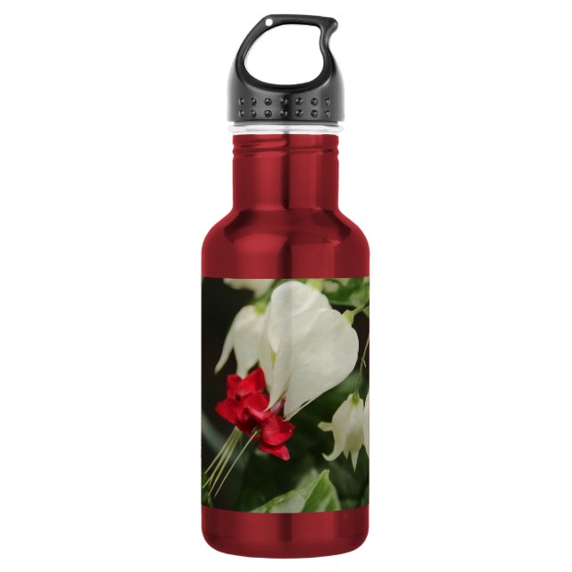 Bouteille d'eau de fleur (Devant)