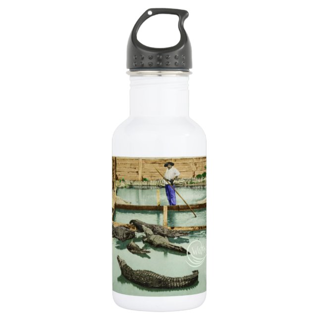 Bouteille d'eau de Joe d'alligator de bébé de (Devant)
